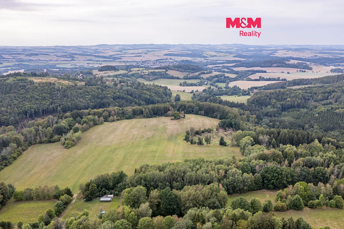 Prodej lesa 281 m²